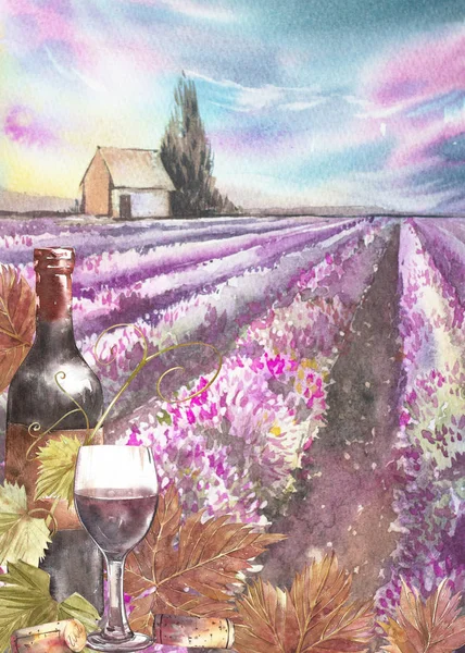 Garrafas e folhas de uvas. Fundo com um campo de lavanda. Ilustração aquarela para cartões postais, scrabbuking. ilustração aquarela desenhada à mão. Banners de fundo do vinho vintage . — Fotografia de Stock