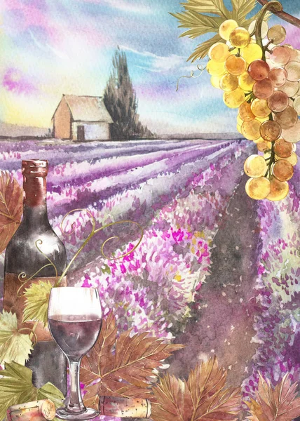 Flessen en bladeren van druiven. Achtergrond met een Lavendel veld. Aquarel illustratie voor postkaarten, scrabbuking. Hand getekend aquarel illustratie. Banners van wijn vintage achtergrond. — Stockfoto