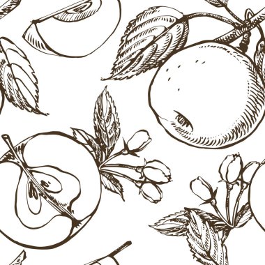 Elma çiçeği şube üzerinde beyaz izole. Vintage botanik çizilmiş şekil ver. Elma ağacının bahar çiçekleri. Dikişsiz desen.