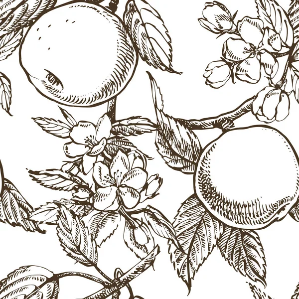 Maçã ramo flor isolado em branco. Vintage botânica mão desenhada ilustração. Flores de primavera de árvore de maçã. Padrões sem costura . —  Vetores de Stock