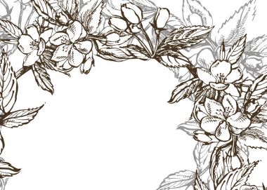 Vektör kartı bahar. Siyah ve beyaz çiçek açan dalları elma ağacı.