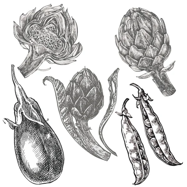 Hand getrokken schets aubergine, erwten en artisjok. Illustratie geïsoleerd op een witte achtergrond. Boerderij ecologische groenten illustraties. — Stockvector