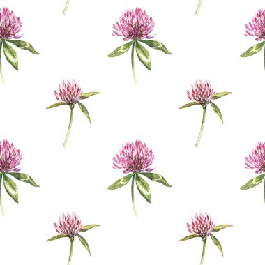 Yonca yaprağı ve çiçekler çizilmiş seamless modeli suluboya resim ver. Aziz Patrick gününüz kutlu olsun.