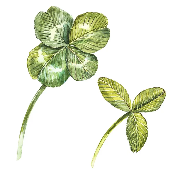 A set of clover leaves - four-leafed and trefoil. Watercolor illustration. Design element Happy Saint Patricks Day — Stock Photo, Image