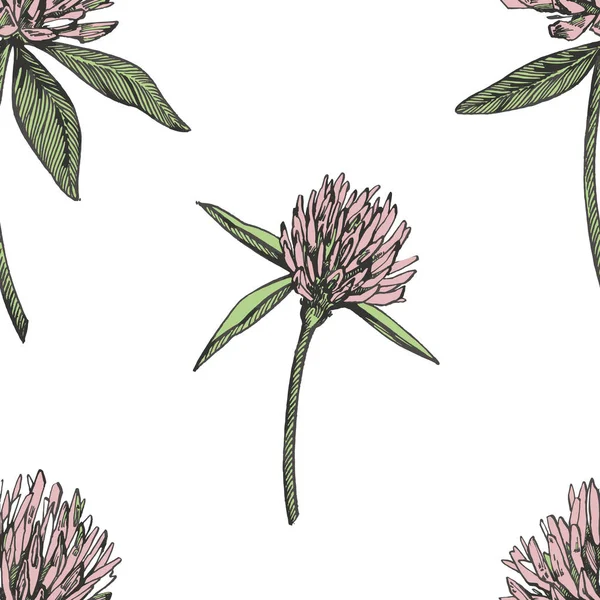 クローバーの葉と花は手描かれたシームレス パターン図です。ハッピー聖パトリックの日. — ストックベクタ