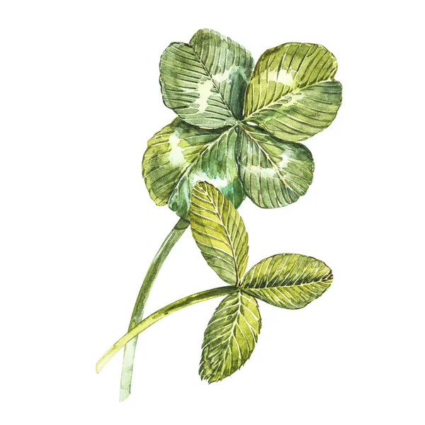 Een set van klaver bladeren - vier-blad en klaverblad. Aquarel illustratie. Ontwerpelement Happy Saint Patricks Day — Stockfoto