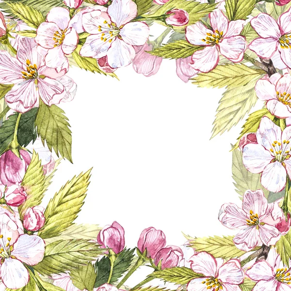 Яблочная рамка ботанической иллюстрации. Карточка дизайн с яблочными цветами и листьями. Акварельная ботаническая иллюстрация на белом фоне . — стоковое фото