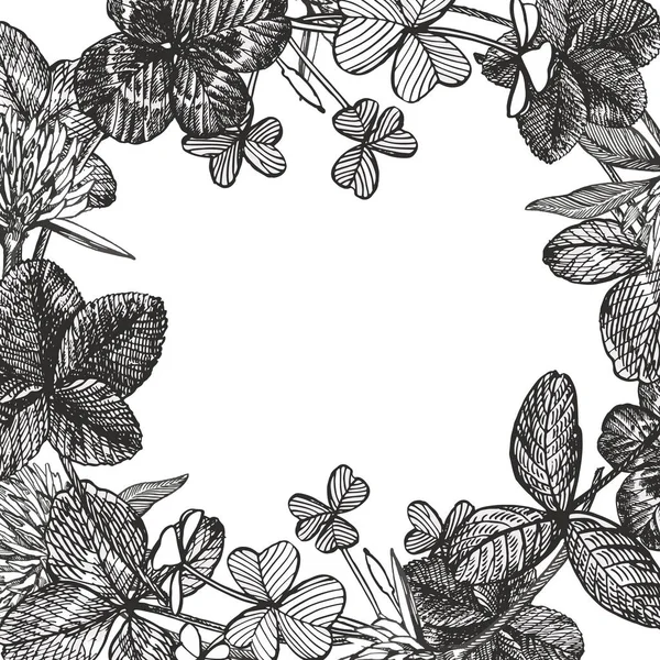 Handgezeichnete grafische Kleeblumen-Illustration. bemaltes botanisches dreiblättriges Wiesengras, isoliert auf weißem Hintergrund. happy st.patrick s day card kompositionen. — Stockvektor