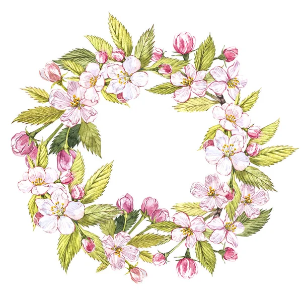 Hand-drawn watercolor wreath of flowers of apples and leaves illustration. Watercolor botanical illustration isolated on white background. — Stock Photo, Image