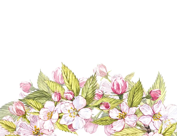 Apfel rahmt botanische Illustration ein. Kartendesign mit Apfelblüten und Blatt. Aquarell botanische Illustration isoliert auf weißem Hintergrund. — Stockfoto