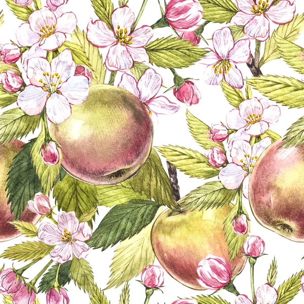 Apple flowers hand drawn seamless pattern watercolor illustration.