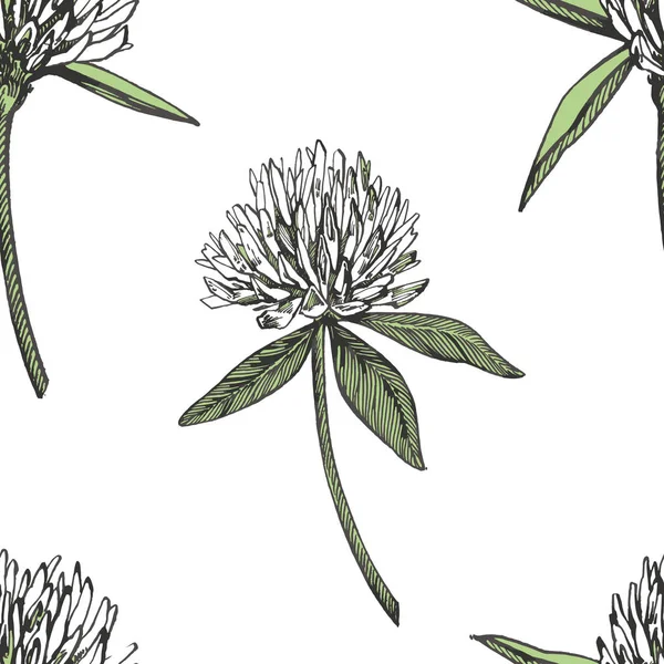 クローバーの葉と花は手描かれたシームレス パターン図です。ハッピー聖パトリックの日. — ストックベクタ