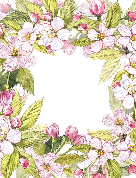 Apple ram botaniska illustration. Kort design med apple blommor och blad. Akvarell botaniska illustration isolerade på vit bakgrund. — Stockfoto