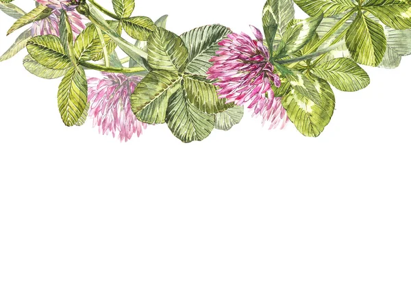 手描き水彩レッド クローバー花イラスト。3 leaved 植物の草原草、白い背景で隔離が描かれています。ハッピー聖パトリックの日カード組成. — ストック写真