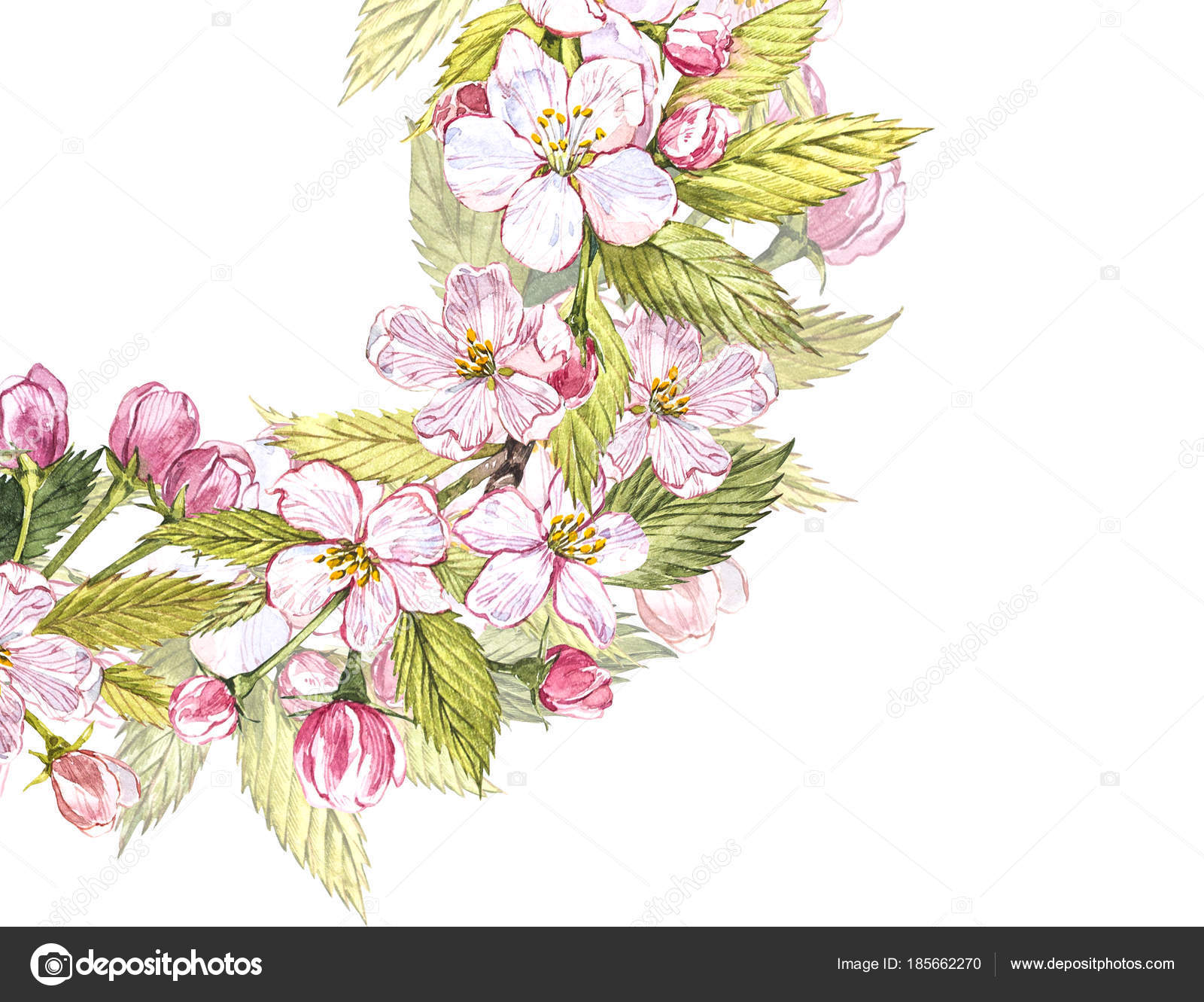トップ100 りんごの花 イラスト 美しい花の画像 トップ100 りんごの花 イラスト 美しい花の画像
