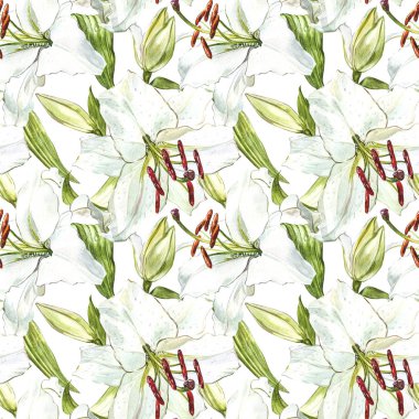 Sorunsuz çiçek desenli. Sulu Boya beyaz lilyum, el çekilmiş botanik çizim çiçek.