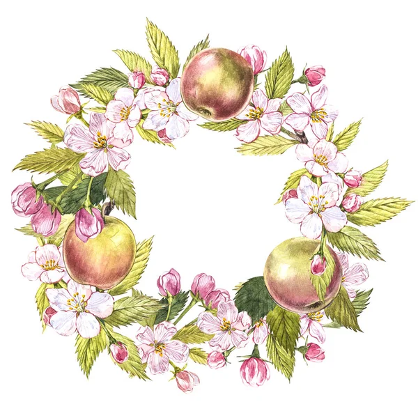 Ручной рисунок акварели из цветов яблок и листьев. Акварельная ботаническая иллюстрация на белом фоне . — стоковое фото