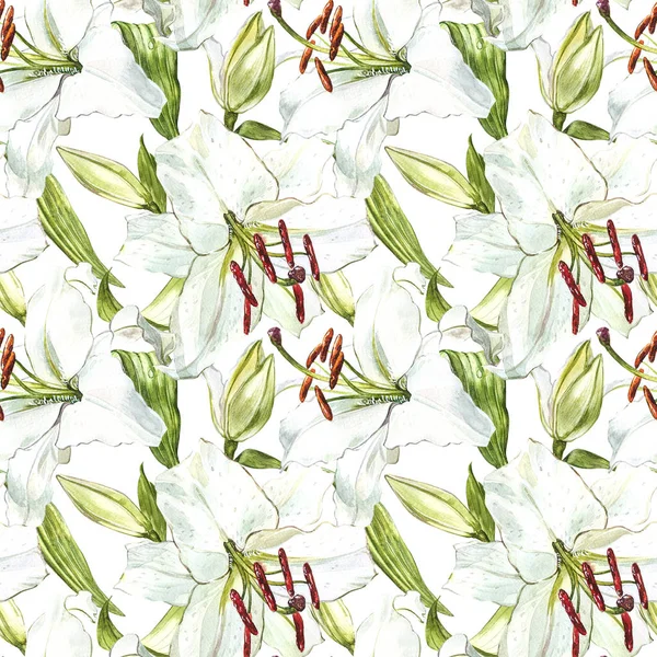 Nahtloses Blumenmuster. Aquarell weiße Lilien, handgezeichnete botanische Illustration von Blumen. — Stockfoto