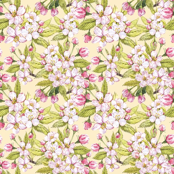 Apple flowers hand drawn seamless pattern watercolor illustration. — Stock Photo, Image