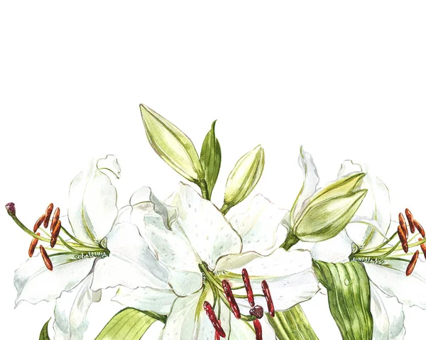 Aquarel set witte lelies, hand getekende botanische illustratie van bloemen geïsoleerd op een witte achtergrond. — Stockfoto