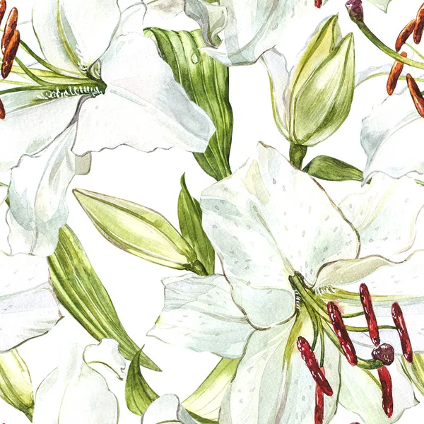 Naadloze bloemmotief. Aquarel witte lelies, hand getekende botanische illustratie van bloemen. — Stockfoto