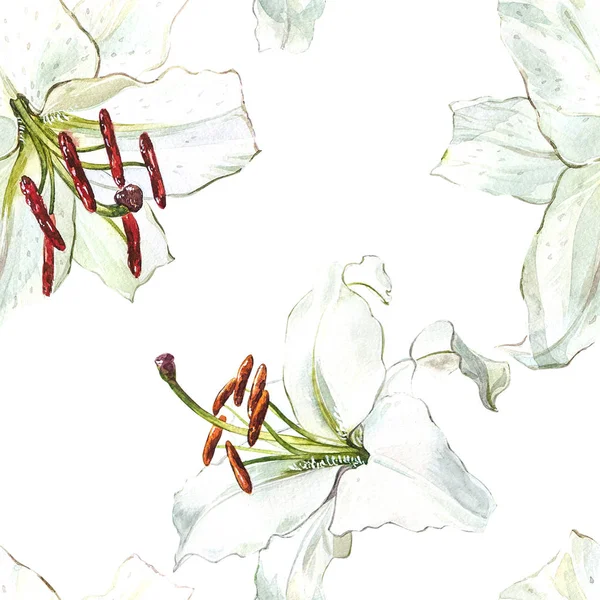 Naadloze bloemmotief. Aquarel witte lelies, hand getekende botanische illustratie van bloemen. — Stockfoto