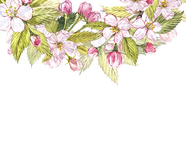 Apple çerçeve botanik illüstrasyon. Elma çiçek ve yaprak kart tasarımı. Suluboya botanik illüstrasyon izole beyaz arka plan üzerinde. — Stok fotoğraf
