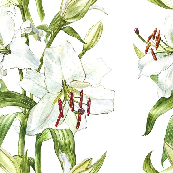 Naadloze bloemmotief. Aquarel witte lelies, hand getekende botanische illustratie van bloemen. — Stockfoto