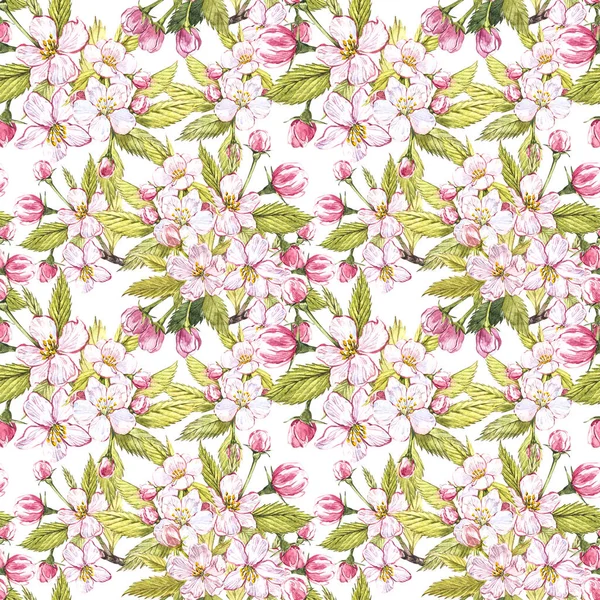 Apfelblüten von Hand gezeichnet nahtlose Muster Aquarell Illustration. — Stockfoto
