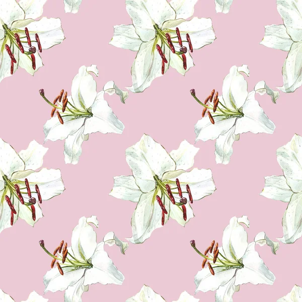 Seamless floral pattern. Watercolor white lilies, hand drawn botanical illustration of flowers. — Stock Photo, Image