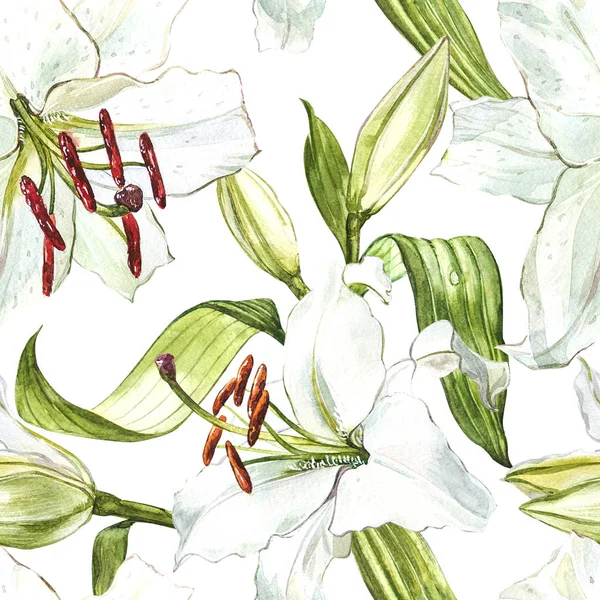 Sorunsuz çiçek desenli. Sulu Boya beyaz lilyum, el çekilmiş botanik çizim çiçek.