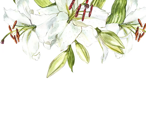Ensemble aquarelle de lys blancs, illustration botanique dessinée à la main de fleurs isolées sur un fond blanc . — Photo