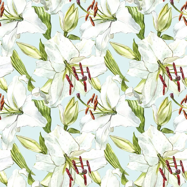Nahtloses Blumenmuster. Aquarell weiße Lilien, handgezeichnete botanische Illustration von Blumen. — Stockfoto