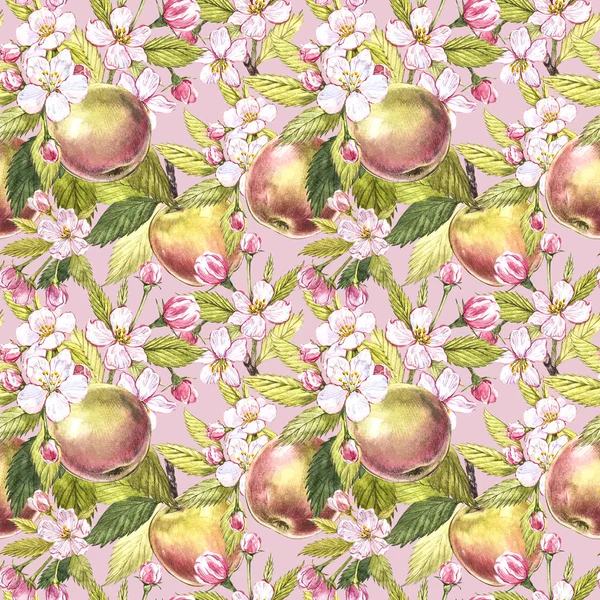 Apple flowers hand drawn seamless pattern watercolor illustration. — Stock Photo, Image