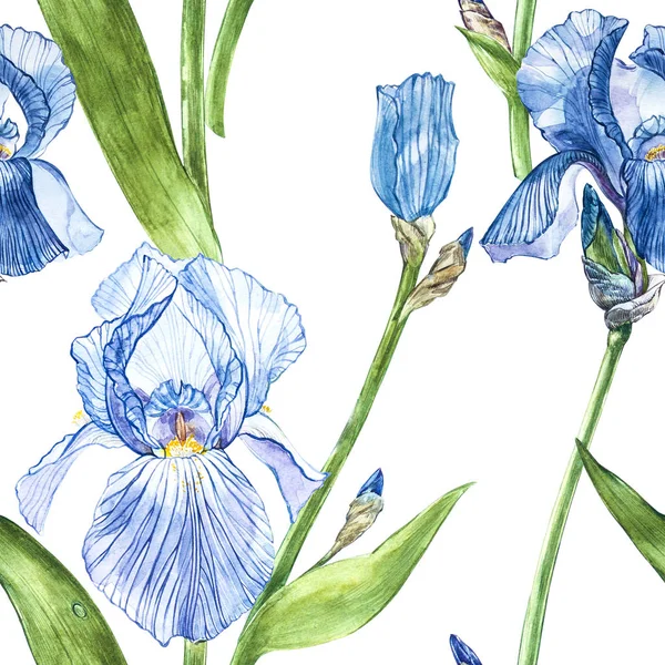 아이리스의 꽃입니다. 수채화 손으로 그린 꽃의 식물 삽화. 원활한 패턴. — 스톡 사진