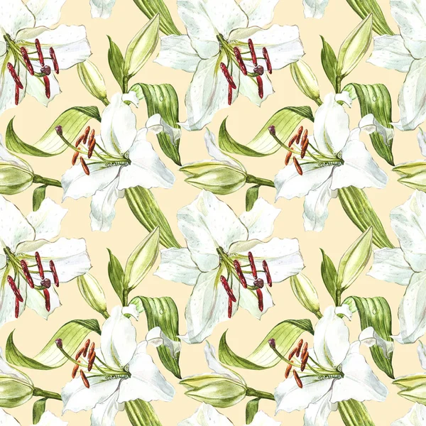 Sömlös blommönster. Akvarell vita liljor, hand dras botaniska illustration av blommor. — Stockfoto