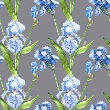 Iris çiçekler. Suluboya el botanik çiçek resmi çizilmiş. Seamless modeli.