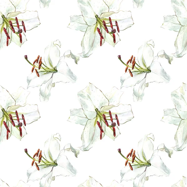Květinový vzor bezešvé. Akvarelu bílé lilie, ručně tažené Botanická ilustrace květin. — Stock fotografie