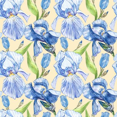Iris çiçekler. Suluboya el botanik çiçek resmi çizilmiş. Seamless modeli.