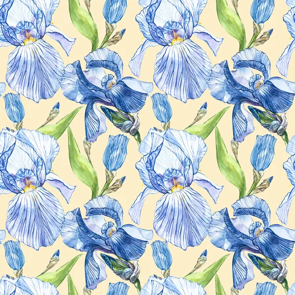 Flowers of Iris. Watercolor hand drawn botanical illustration of flowers. Seamless pattern. — Stock Photo, Image