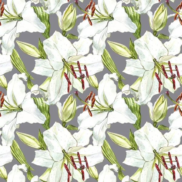 Kwiatowy wzór. Akwarela, białe lilie, ilustracja botaniczna kwiatów. — Zdjęcie stockowe