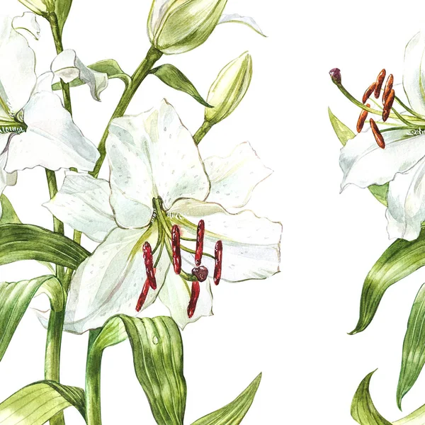 Naadloze bloemmotief. Aquarel witte lelies, hand getekende botanische illustratie van bloemen. — Stockfoto
