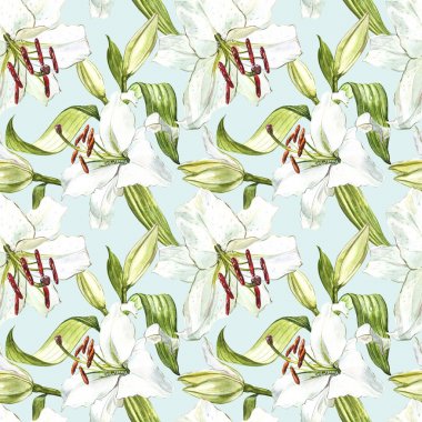 Sorunsuz çiçek desenli. Sulu Boya beyaz lilyum, el çekilmiş botanik çizim çiçek.