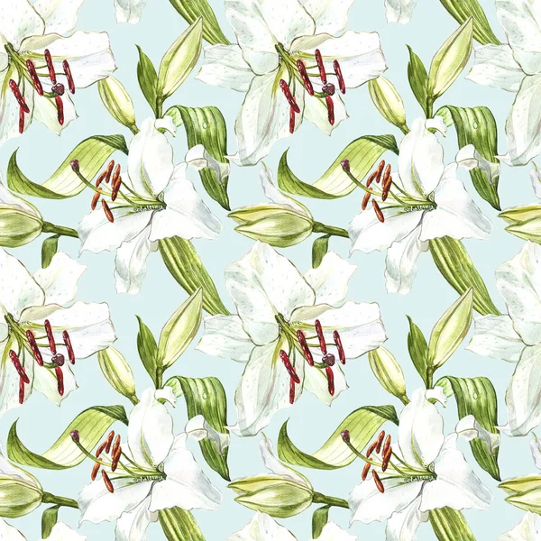 Нежный цветочный узор. Акварельные белые лилии, ручная рисованная ботаническая иллюстрация цветов . — стоковое фото