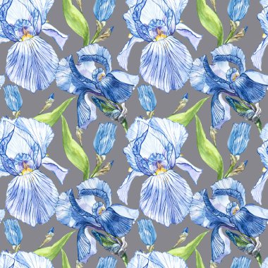 Iris çiçekler. Suluboya el botanik çiçek resmi çizilmiş. Seamless modeli.