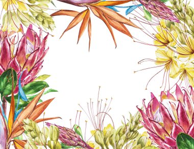 Tropikal metin için boş. Suluboya Protea, Caesalpinia ve STERLİÇYA çiçekler. Davetiye, düğün veya tebrik kartları için mükemmel.