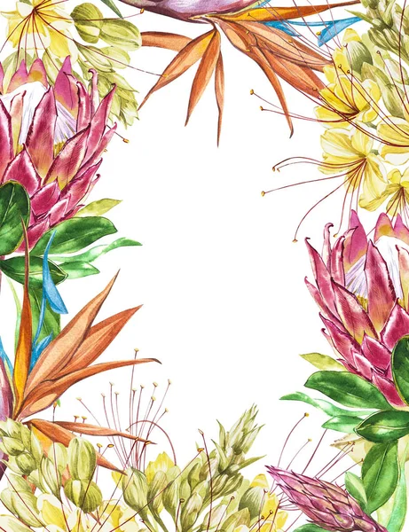 Tropical blanc pour le texte. Aquarelle Fleurs de Protea, Caesalpinia et Strelitzia. Parfait pour les cartes d'invitation, de mariage ou de voeux . — Photo