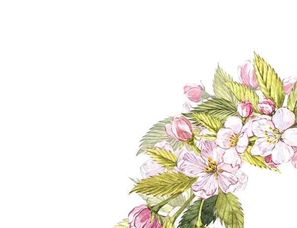 Apple rám Botanická ilustrace. Karta návrh s apple květů a listů. Akvarelu Botanická ilustrace izolované na bílém pozadí. — Stock fotografie