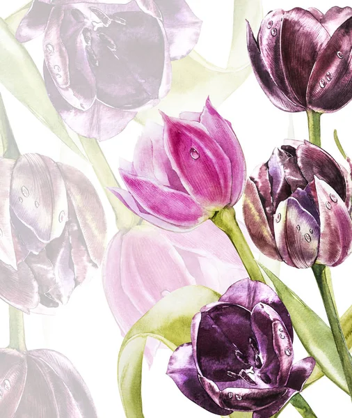 Botaniska tomt för text. Vattenfärg tulpan blommor. Perfekt för inbjudan, bröllop eller gratulationskort. — Stockfoto