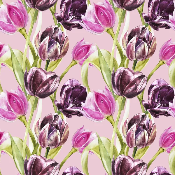 Flowers of Tulips. Watercolor hand drawn botanical illustration of flowers. Seamless pattern. — Stock Photo, Image